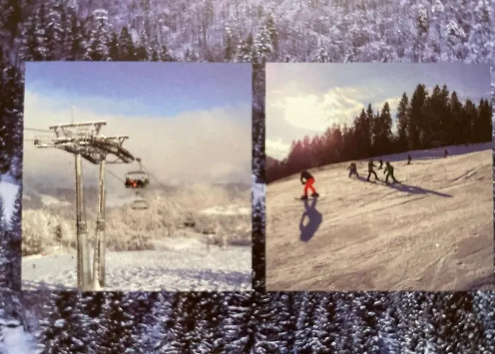 Mr. Bens Holiday home *