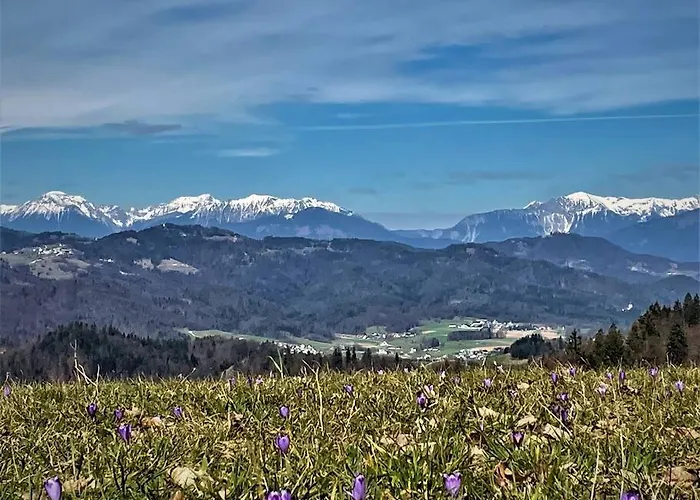 بيت للعطل Mr. Bens Škofja Loka